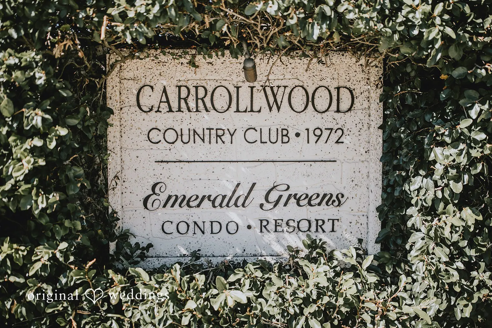 Carrollwood Country Club Wedding // Tracy & Wilfred -