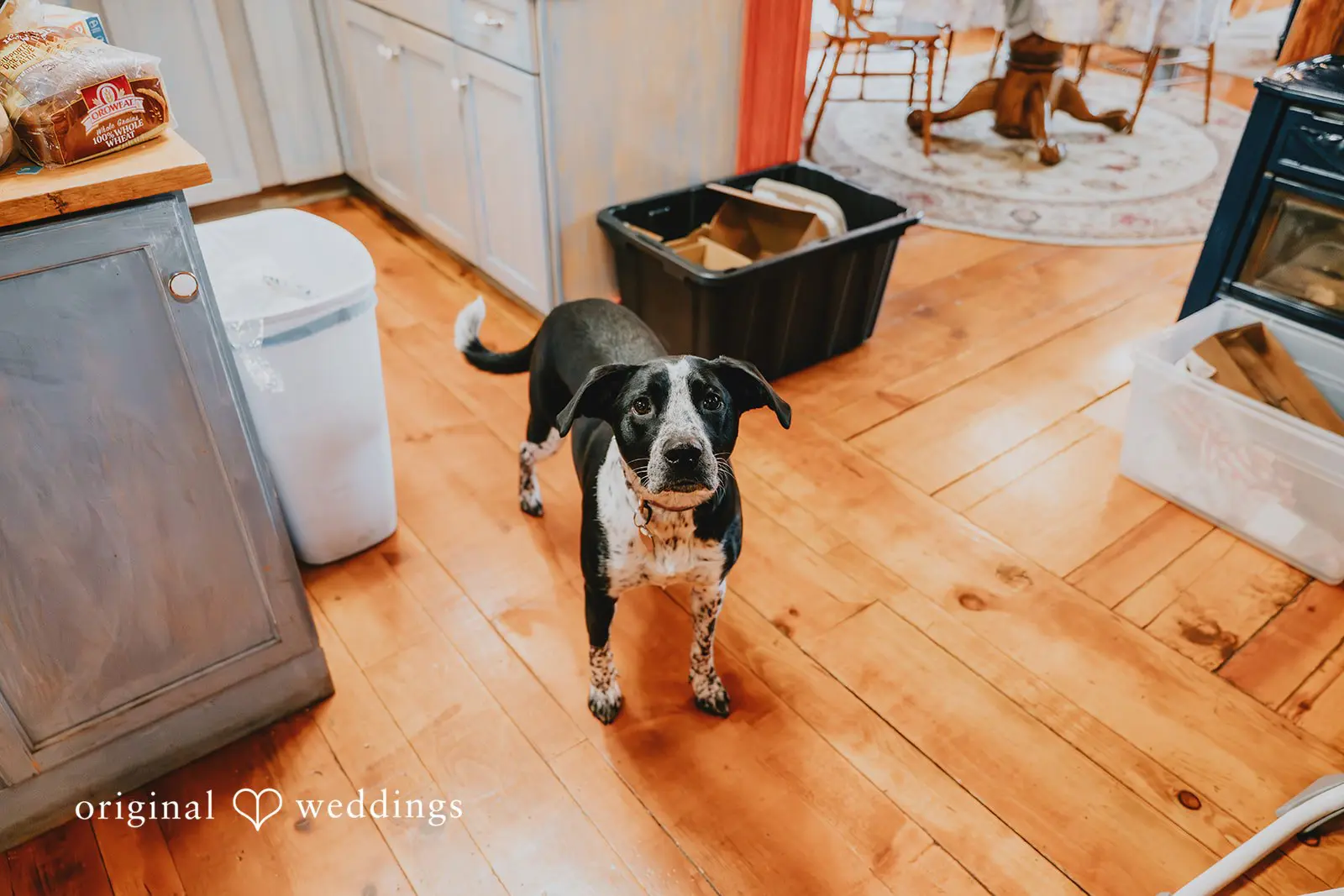 Nathaniel + Heather Lillaskog Lodge Wedding // Heather & Nathaniel -