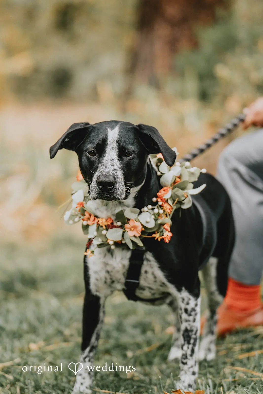 Nathaniel + Heather Lillaskog Lodge Wedding // Heather & Nathaniel -