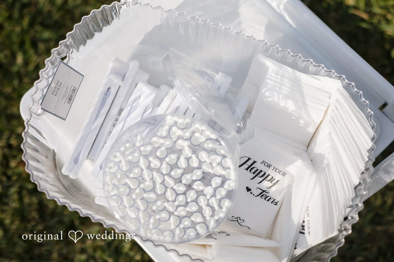 Texas Backyard Wedding // Amy & Pablo -