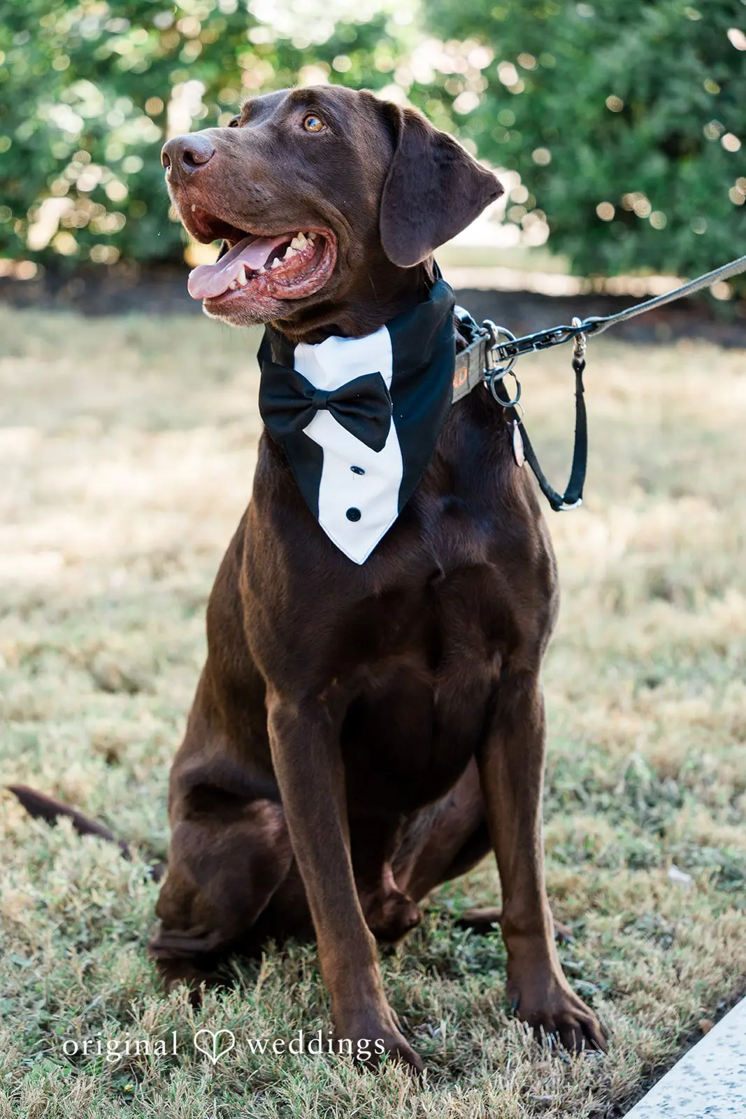 The Arlo Wedding //  Francine & Eric -