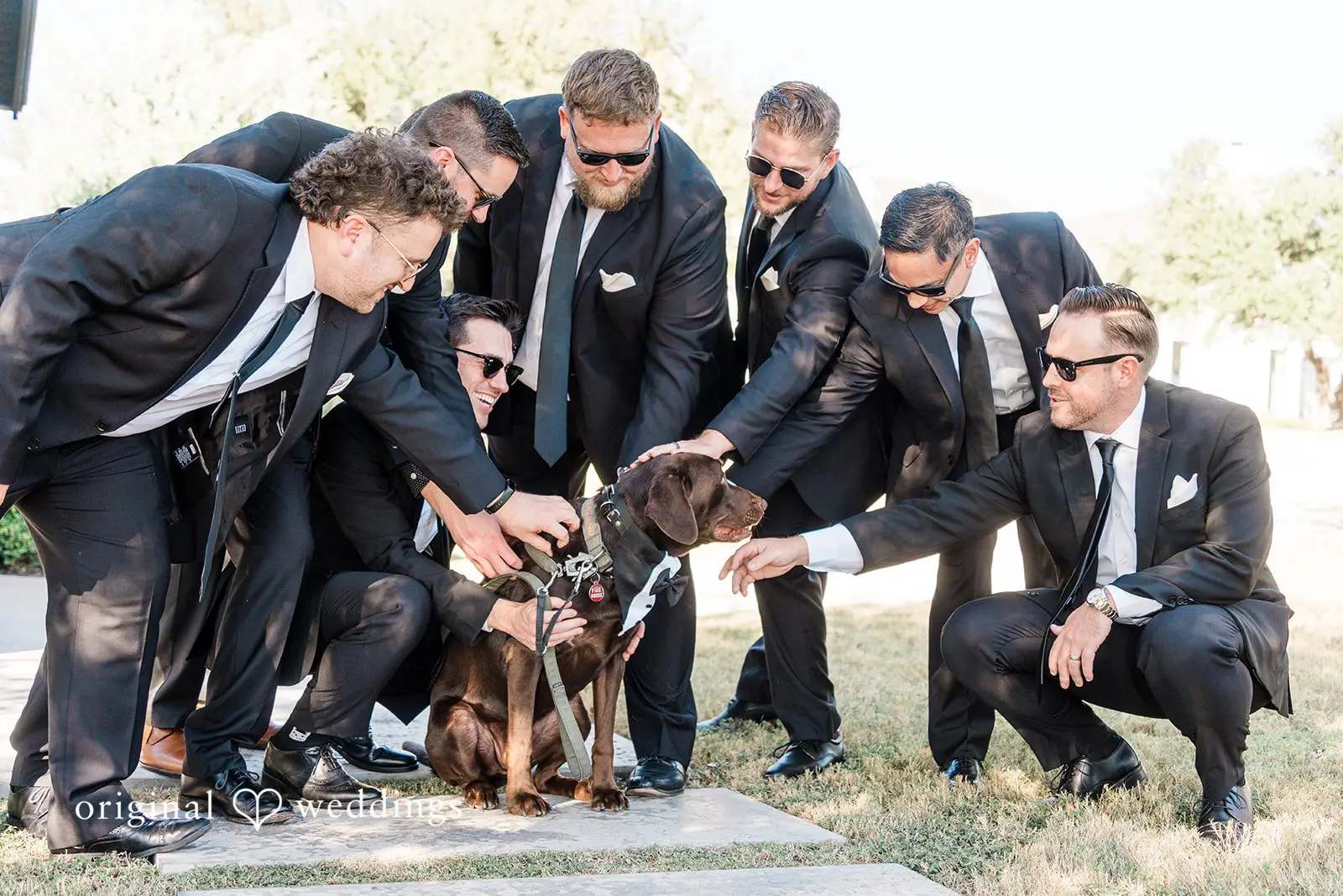 The Arlo Wedding //  Francine & Eric -