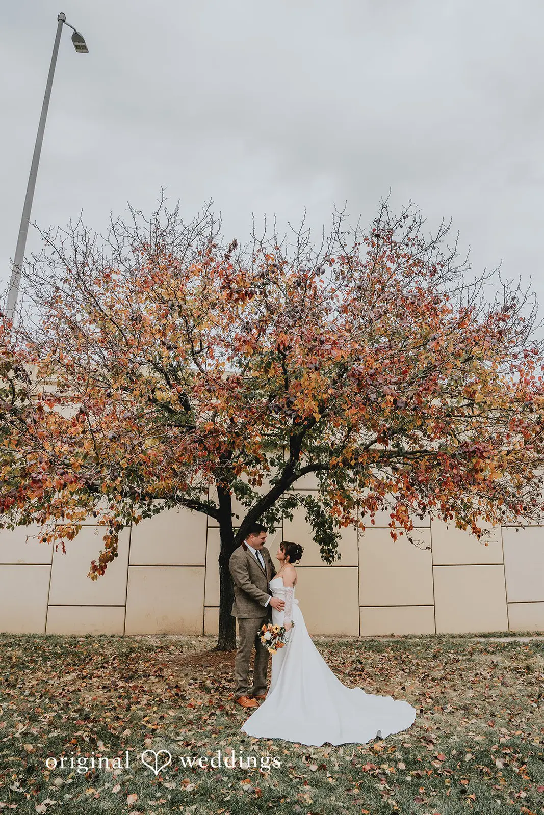 Hayden + Abby Romantic portrait of bride and groom under the autumn tree by Pritzlaff Events
