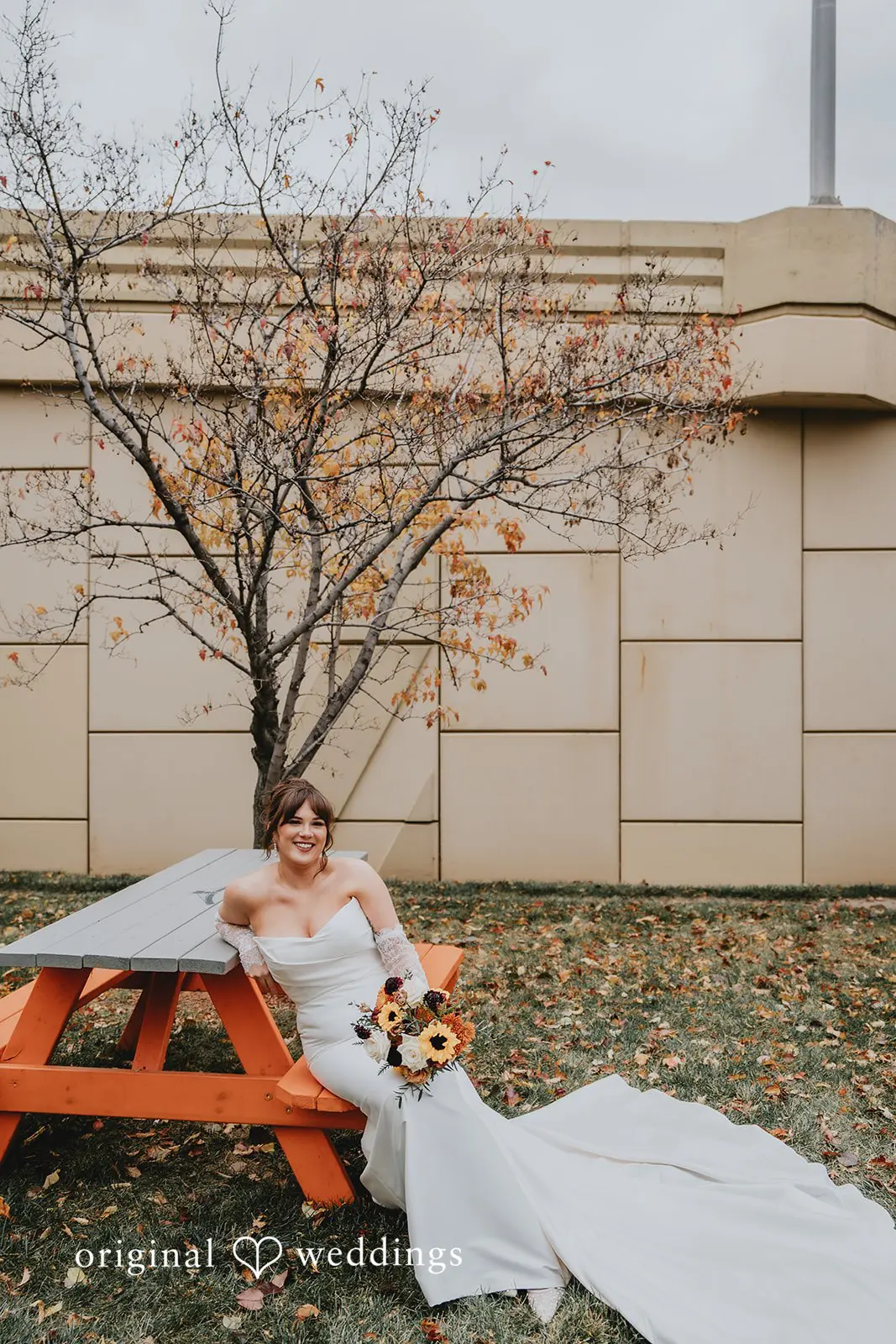 Hayden + Abby Bride sitting beneath an autumn tree at Pritzlaff Events