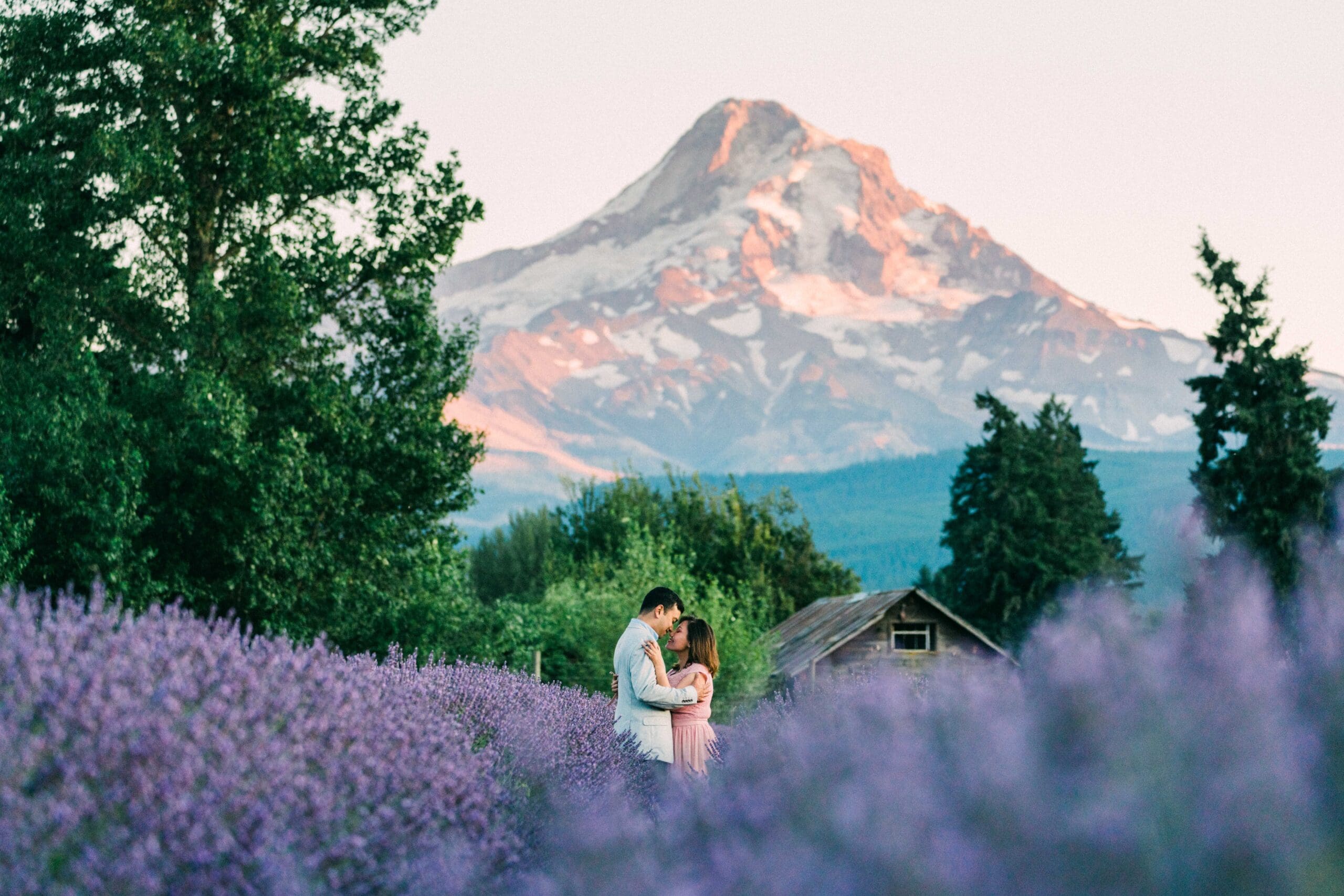 Hood River Lavender Valley Engagement