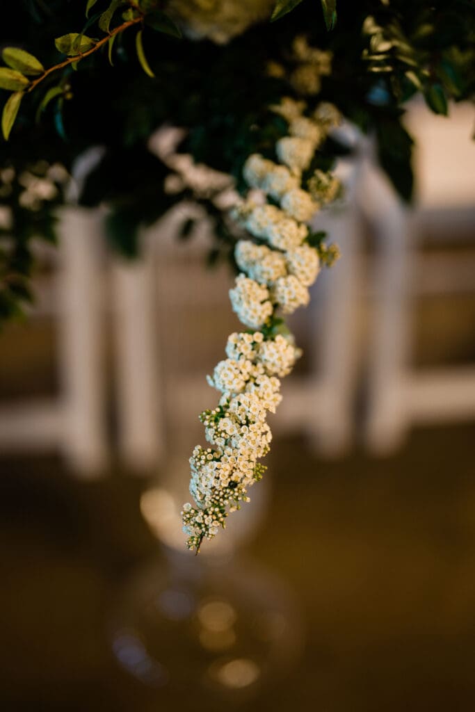 Kelley Farm Wedding // Alannah + Brian -