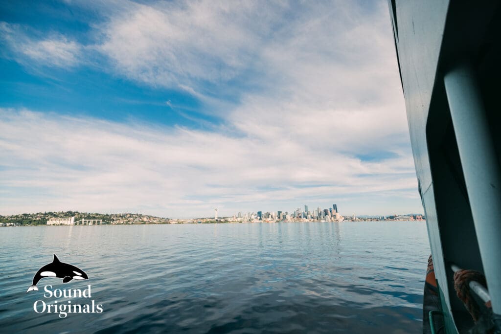Seattle Ferry Engagement -