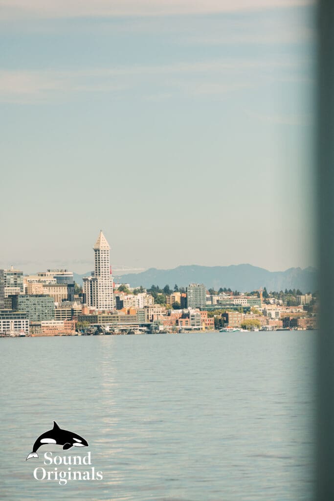Seattle Ferry Engagement -