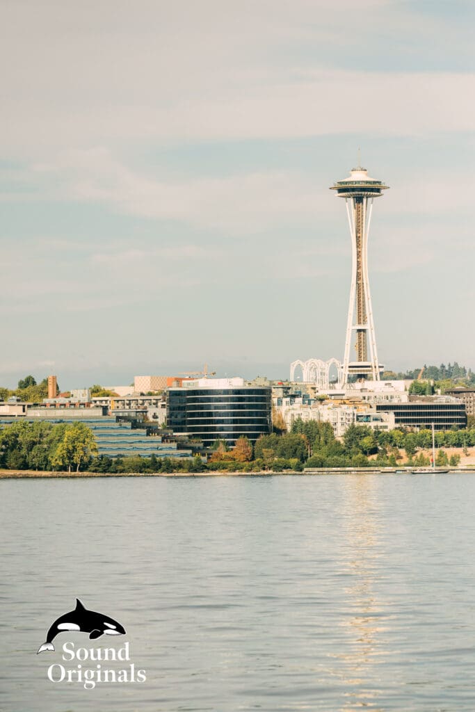 Seattle Ferry Engagement -