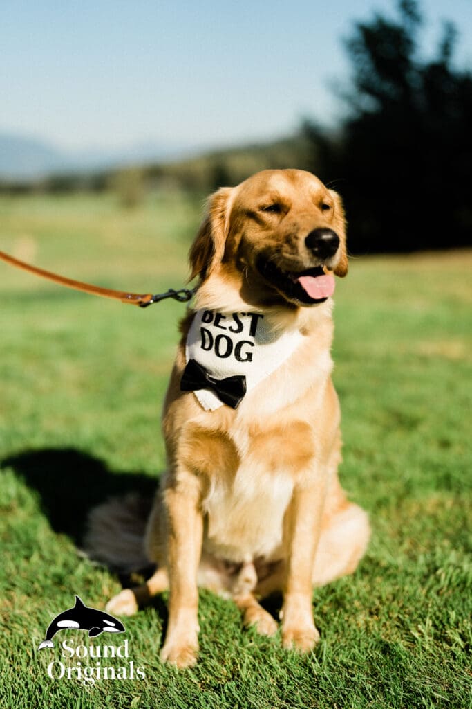 Sonneveldt Vineyard Wedding -