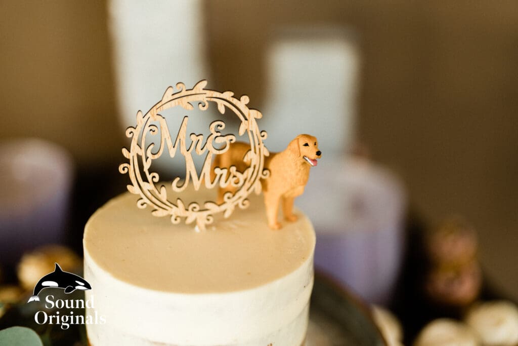 Sonneveldt Vineyard Wedding -