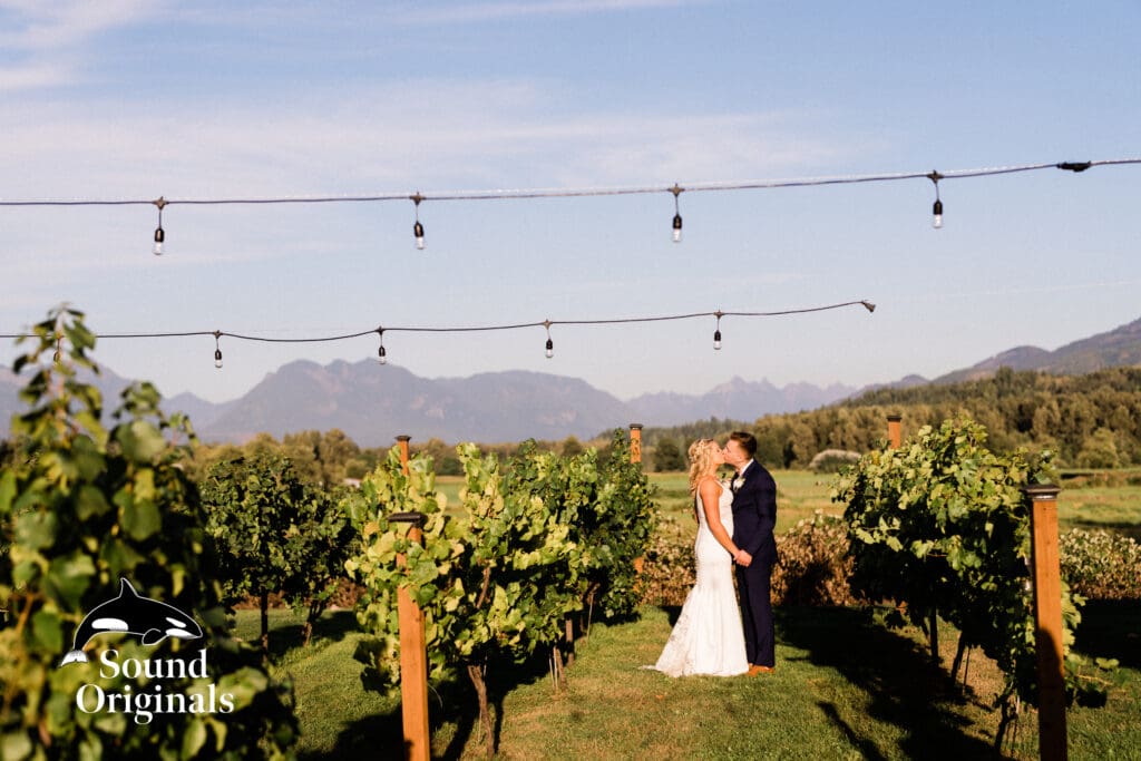 Sonneveldt Vineyard Wedding -