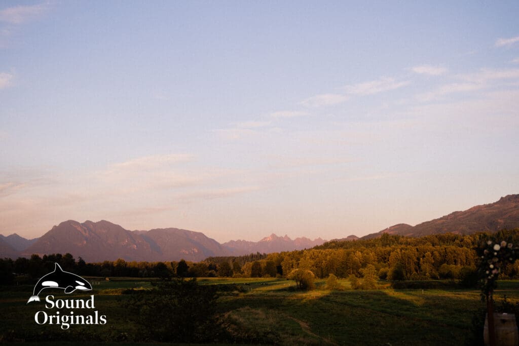 Sonneveldt Vineyard Wedding -