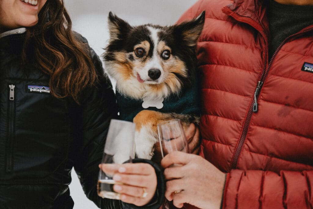 Rattlesnake Lake Proposal -