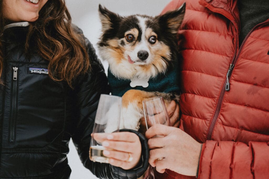 Rattlesnake Lake Proposal -