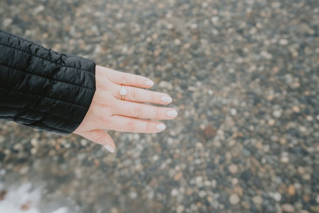 Rattlesnake Lake Proposal -