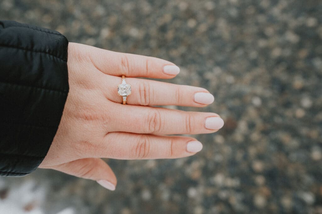 Rattlesnake Lake Proposal -