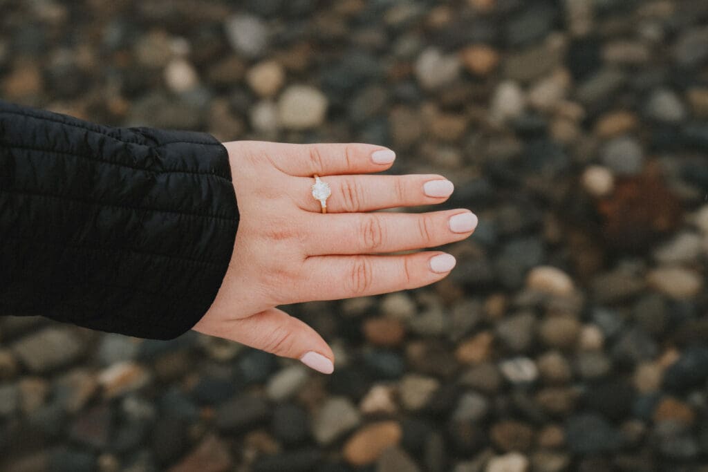 Rattlesnake Lake Proposal -