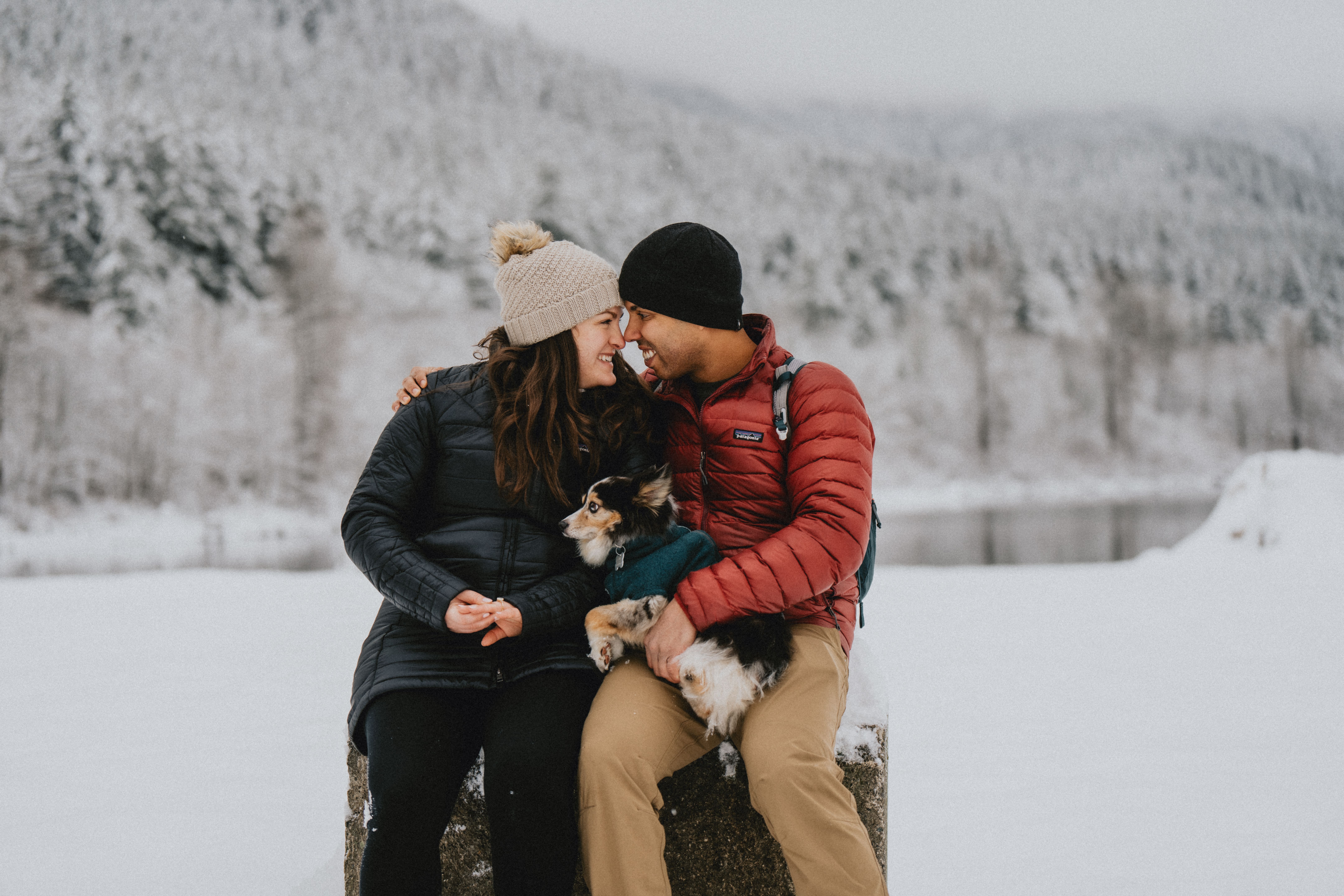 Rattlesnake Lake Proposal -