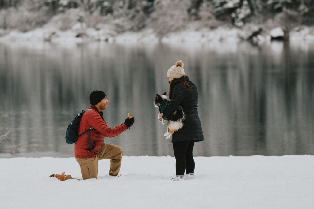 Rattlesnake Lake Proposal -