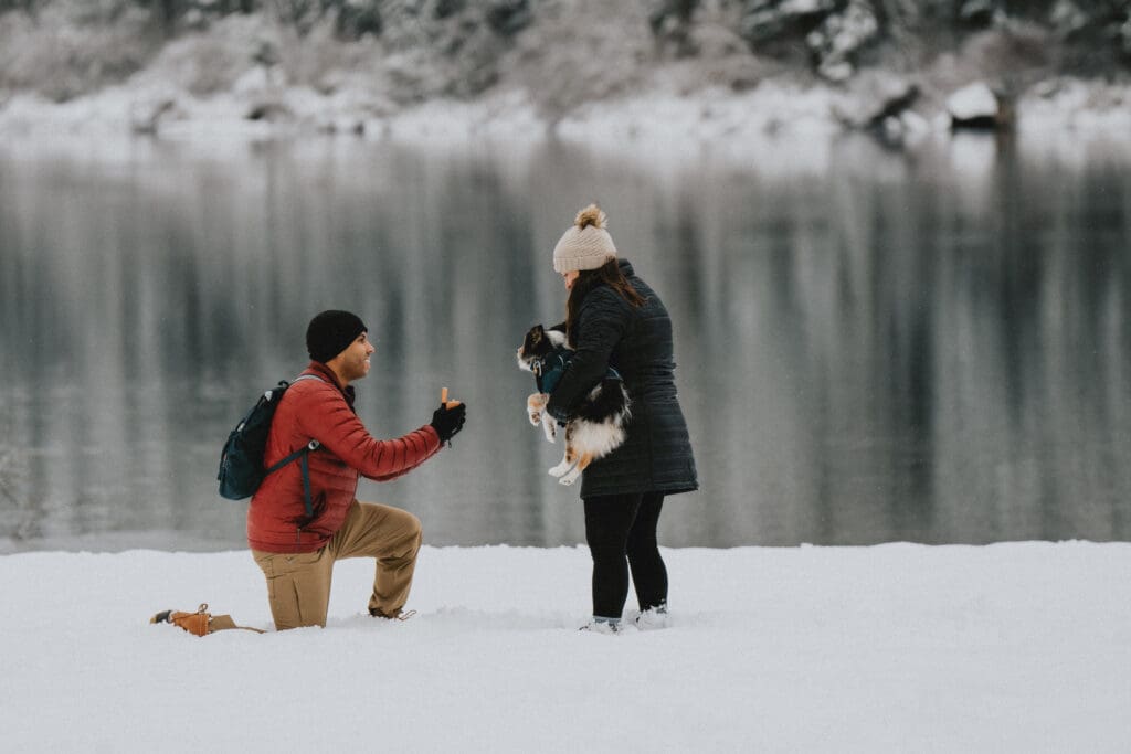 Rattlesnake Lake Proposal -