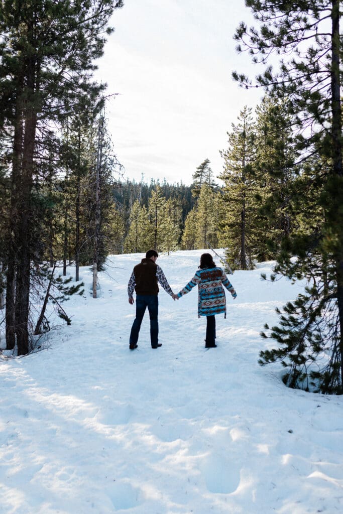 Snowy Engagement -
