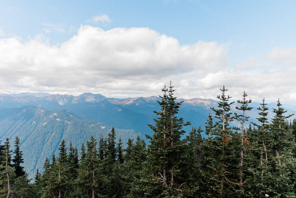 Crystal Mountain Wedding // Angeli + David -