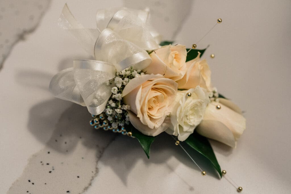 Bellevue Indian Wedding // Anushe' + James -