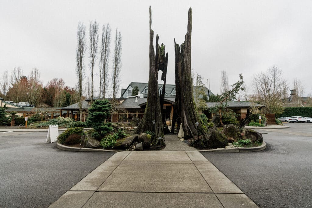 Willows Lodge Wedding // Evan + Jackie -