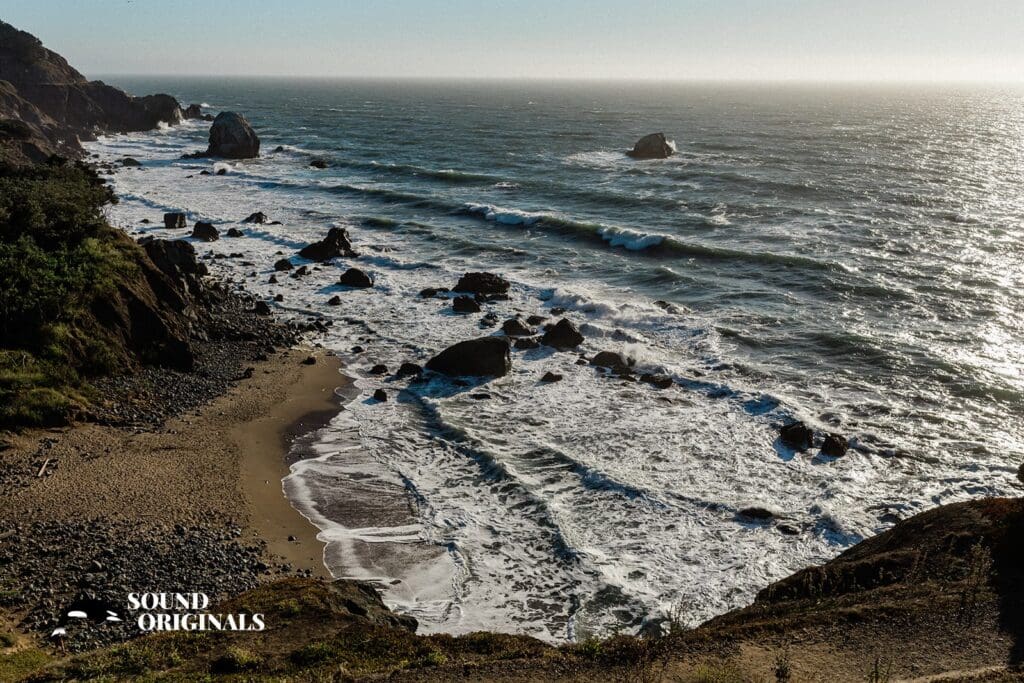 San Francisco Land's End Engagement // Raylene + Aaron -