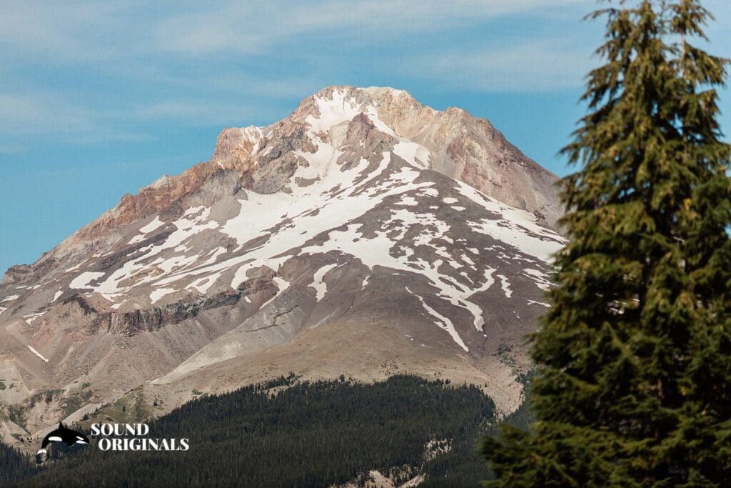 Tiffany + Chad Mt. Hood Skibowl Wedding // Tiffany + Chad -