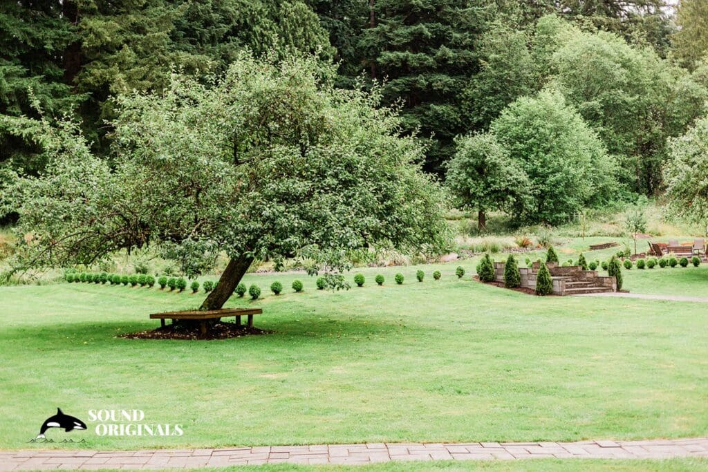 Evergreen Meadows Wedding // Taylor + Will -