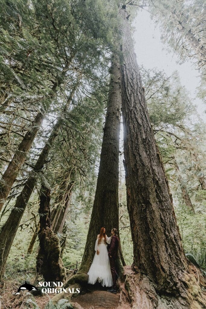 Marymere Falls Wedding // Madison + Dylan -