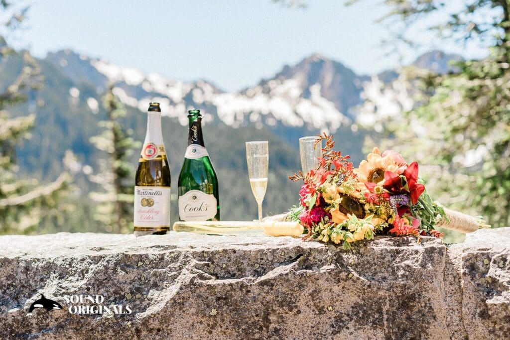 Mount Rainier National Park Wedding // Megan + Megan -