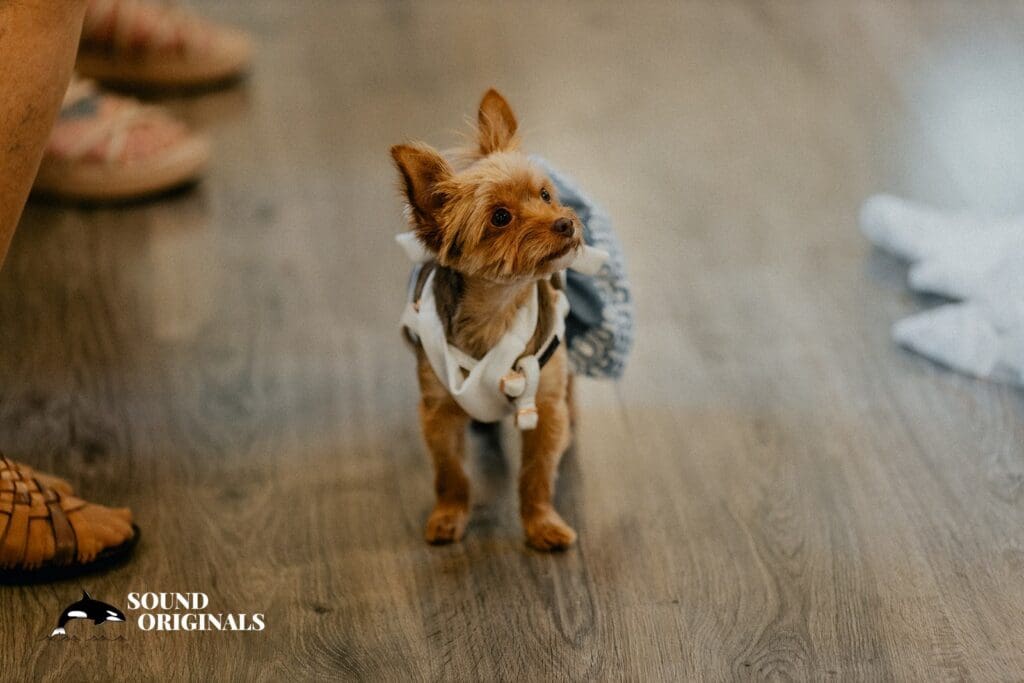 Fern Acres Wedding // Ashley + Casey -