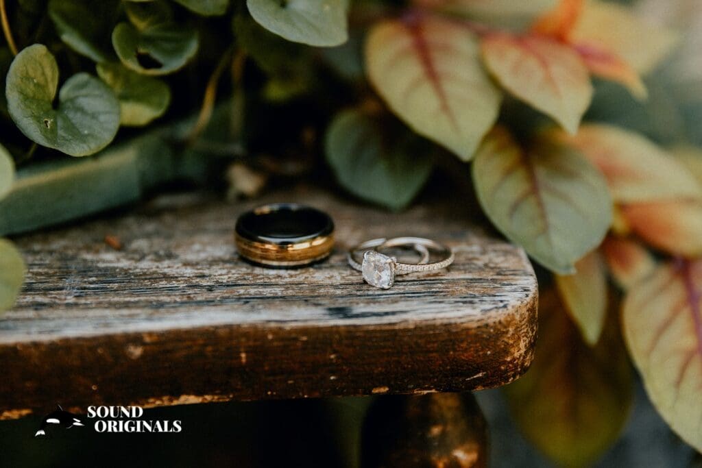 Fern Acres Wedding // Ashley + Casey -