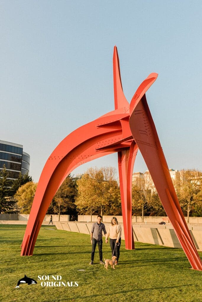 25 STUNNING Locations for Engagement Photos in Seattle -