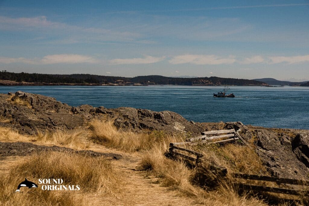 <strong>Saltwater Farm Wedding // Melanie + Jason</strong> -