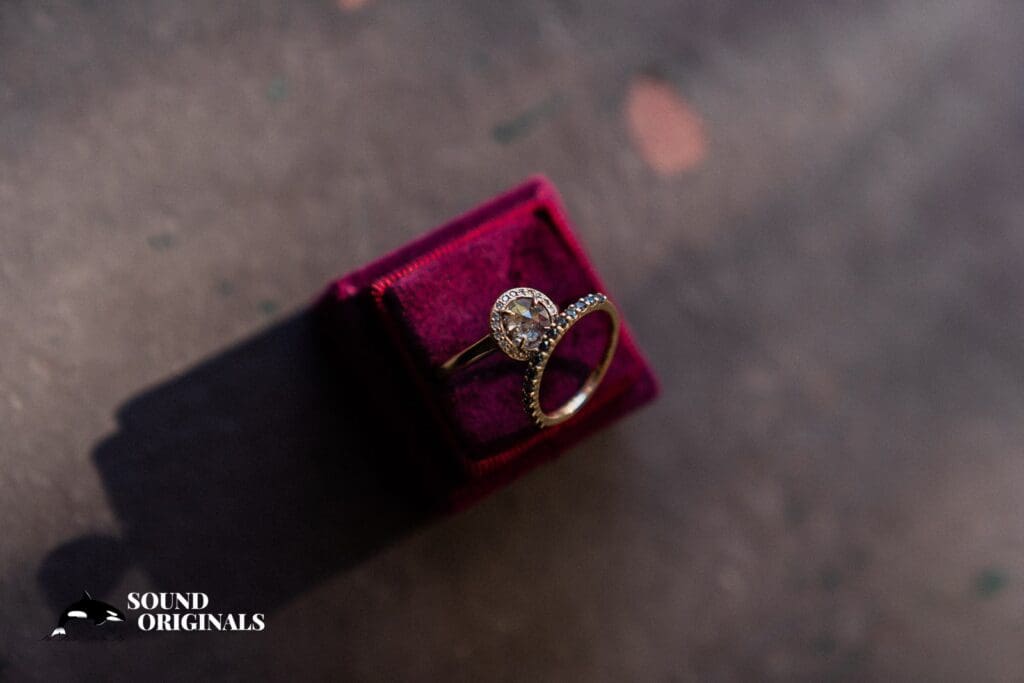 The Mountain Terrace Wedding // Christina + Robbie -