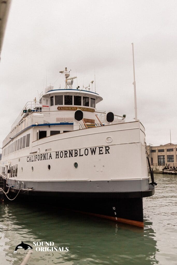 <strong>Hornblower Yacht Wedding // Raylene + Aaron</strong> -