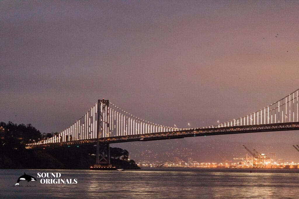 <strong>Hornblower Yacht Wedding // Raylene + Aaron</strong> -