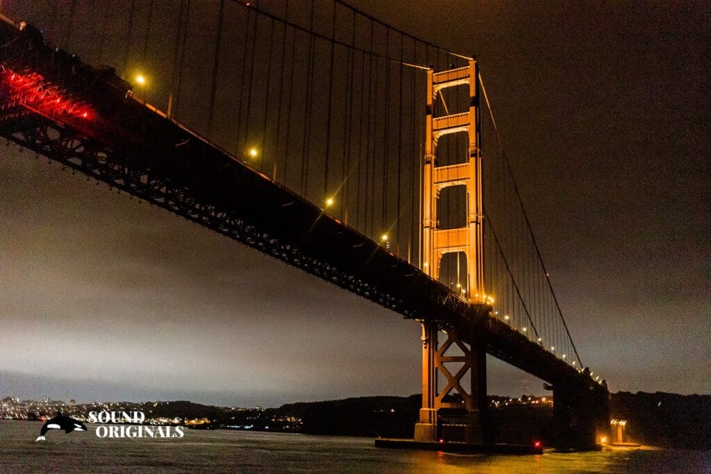 <strong>Hornblower Yacht Wedding // Raylene + Aaron</strong> -