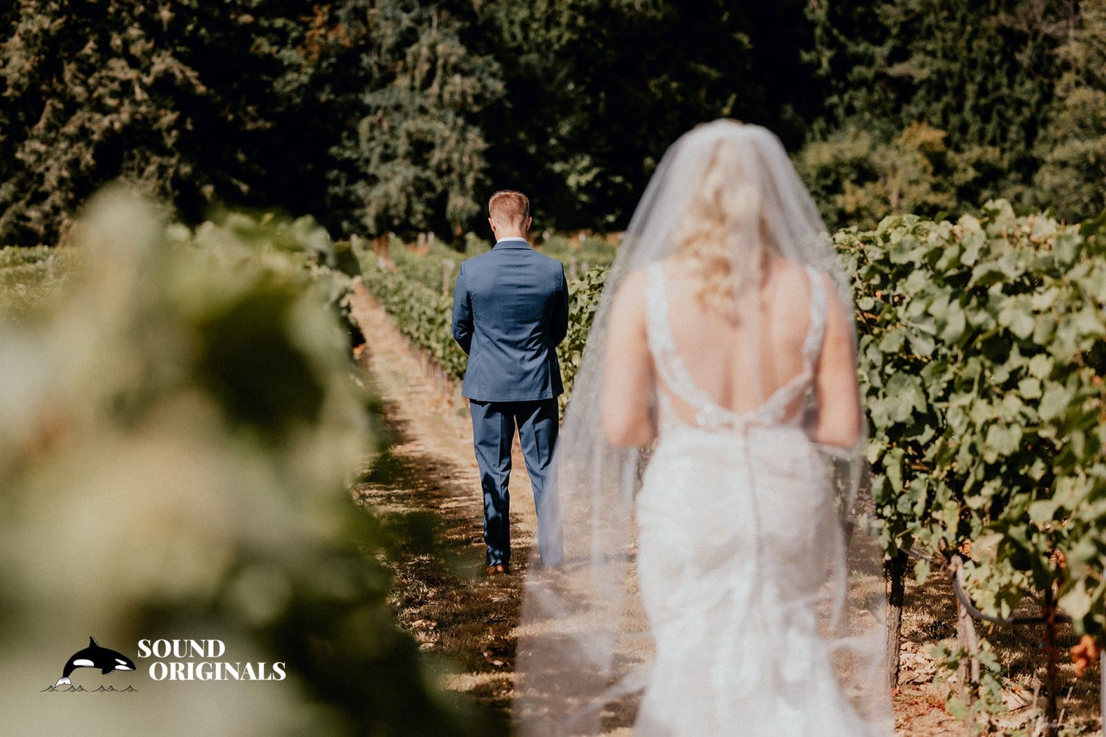 Windy Hill Winery Wedding // Haidyn + Dylan -