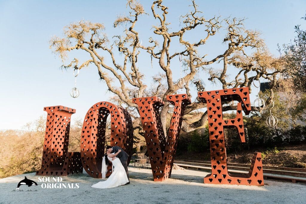 Willow Heights Mansion Wedding // Alexis + Vanessa -