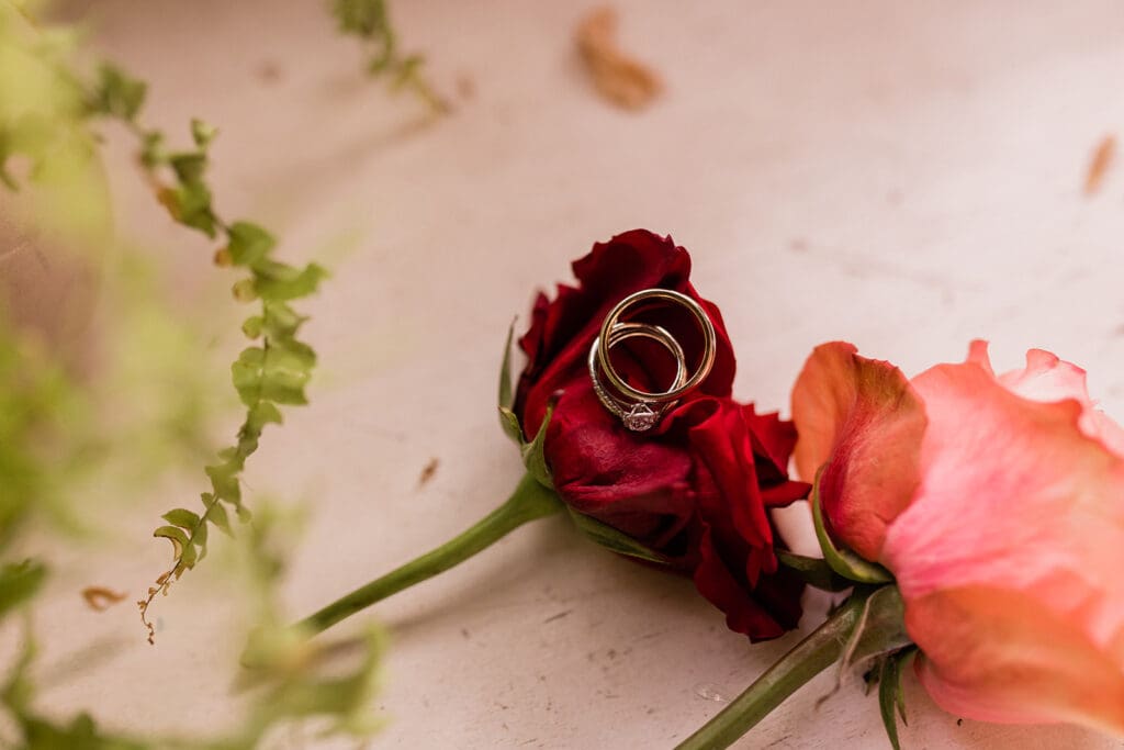 The Ruins Wedding // Rashmi + Erik -