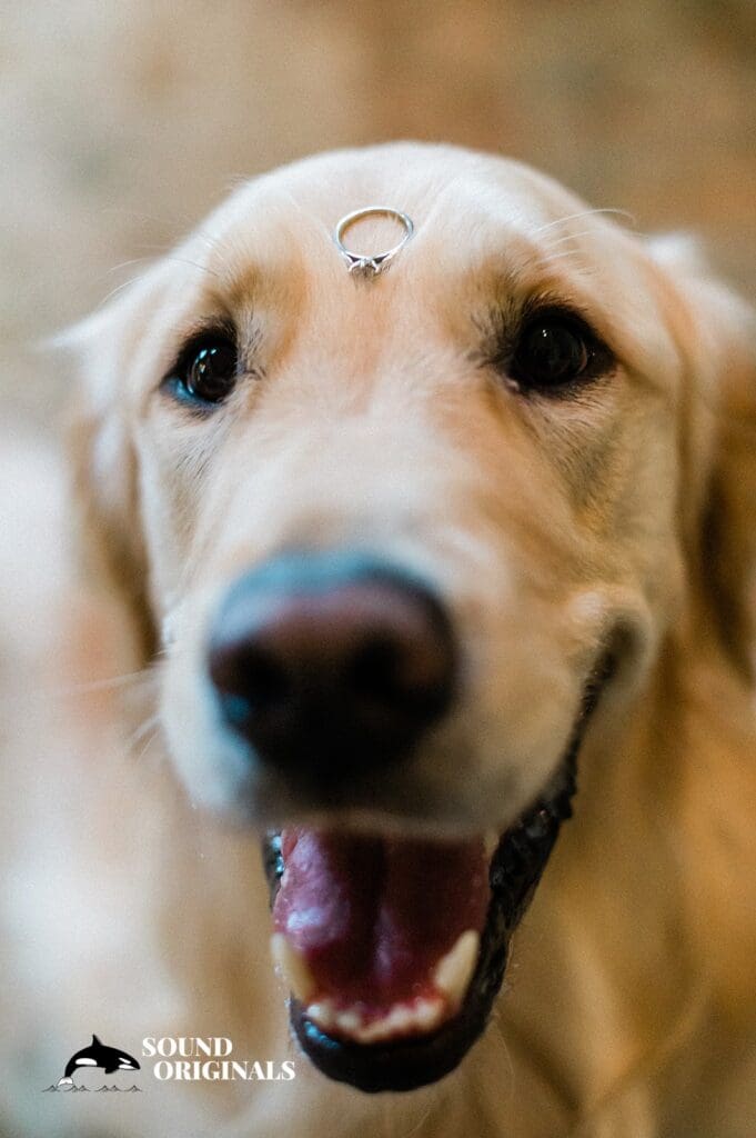 Clos LaChance Winery Wedding // Wei + Can -