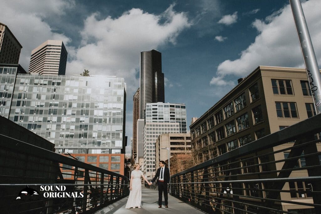 The 101 Wedding // Alisa + Salman -