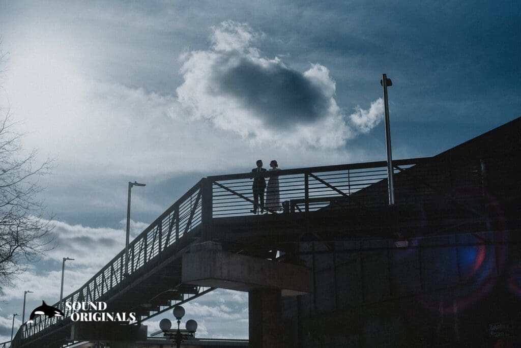 The 101 Wedding // Alisa + Salman -