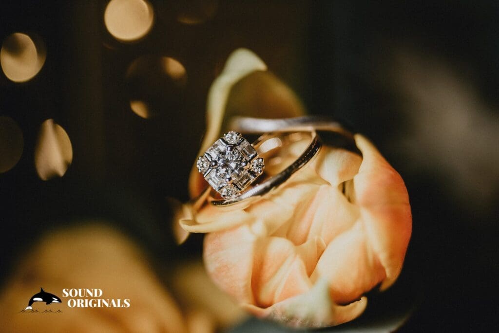 The 101 Wedding // Alisa + Salman -