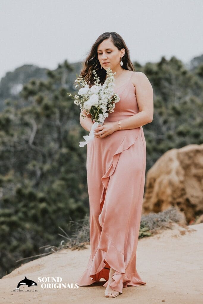 <strong>Torrey Pines State Beach Sunset Seat Wedding</strong> -